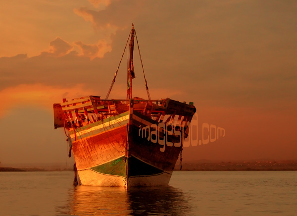 voilier traditionnel : boutre de la Mer Rouge