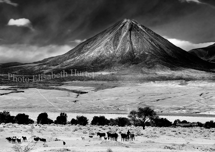 Paysage Nature sauvage : Volcan des Andes